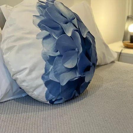 Sao Miguel Charming House 