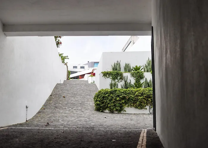 Sao Miguel Charming House 